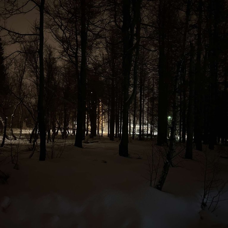 amelia-run-vilhelmsdottir-4