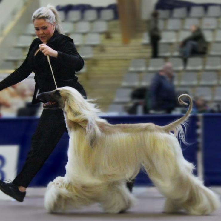 arndis-maria-ingolfsdottir