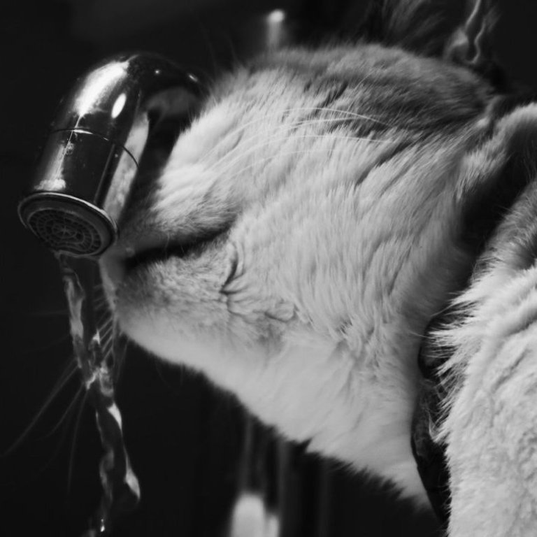 gudlaug-vala-kjartansdottir-a