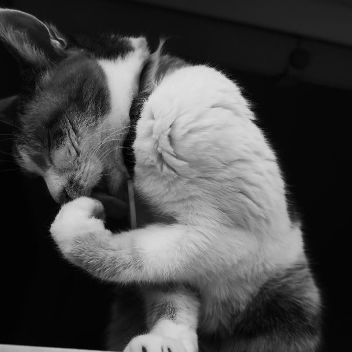 gudlaug-vala-kjartansdottir-c