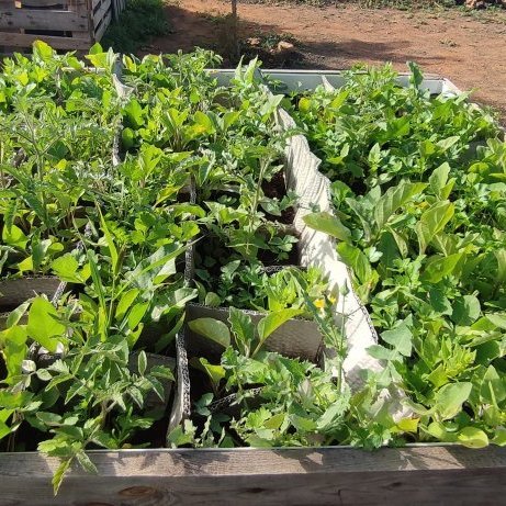 314688824_10160504311945479_4830199743729457012_n