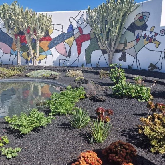 315057599_10160511016975479_7096287130146537346_n