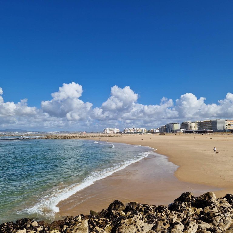 341546787_6196605930420579_5110569797670538719_n