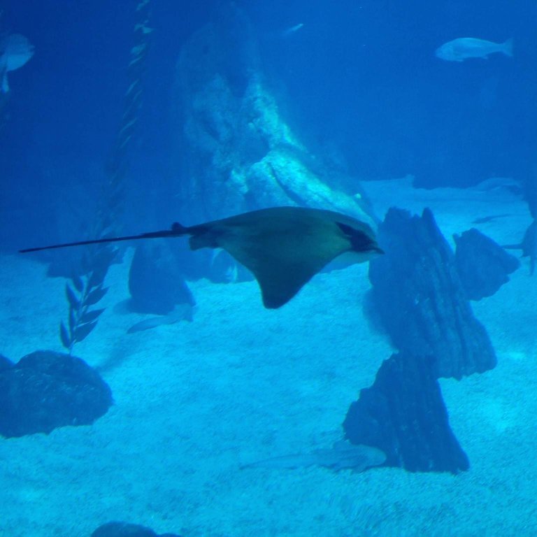 341600426_3442805052644058_1712940138345012733_n