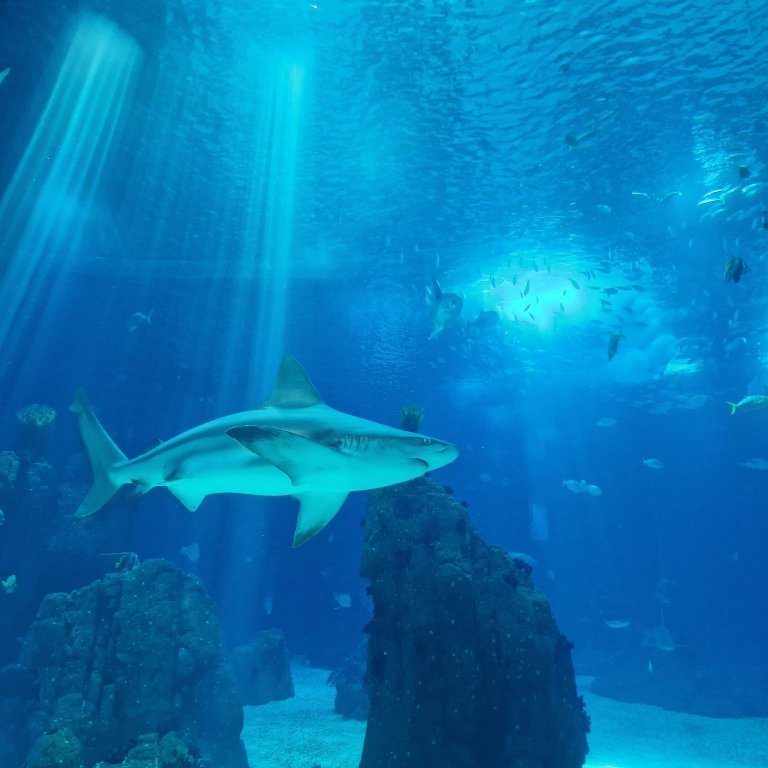 341614251_4014488242108317_464940256940217762_n