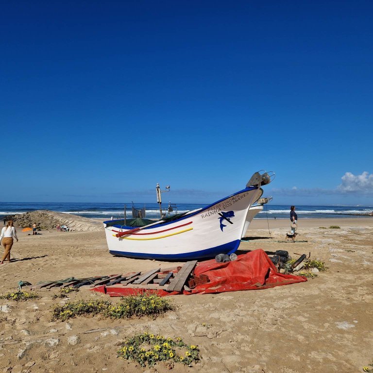 341623722_239816001920489_2259565285454646968_n