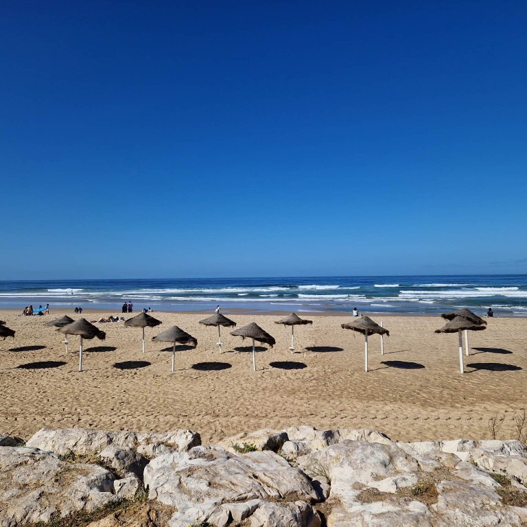 341679350_1230890540866199_3348381548088421674_n