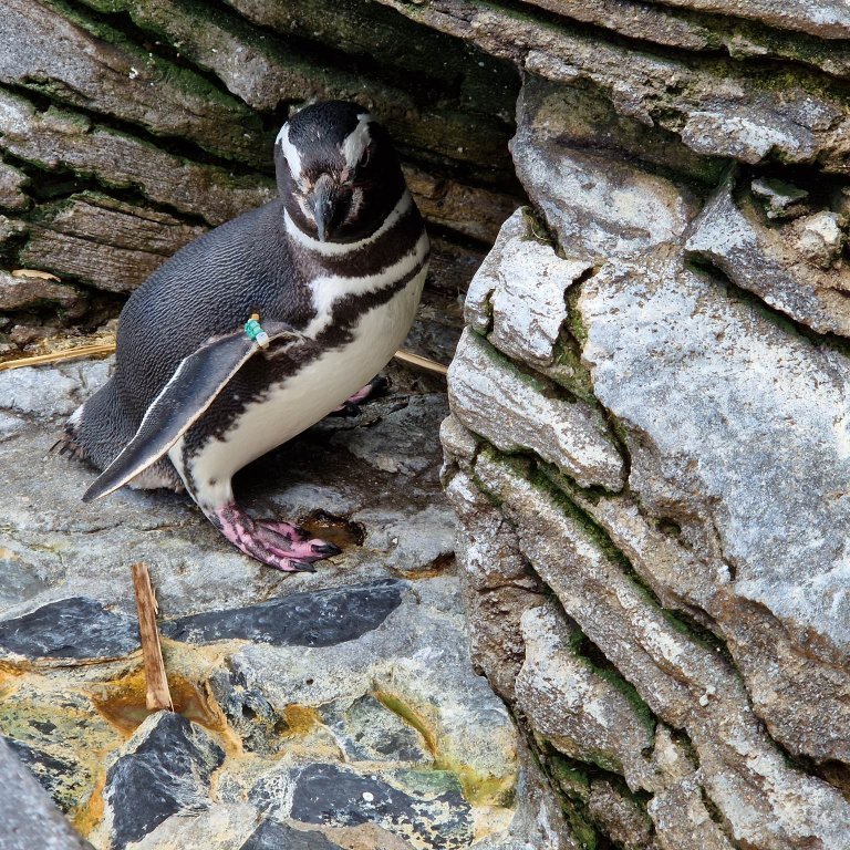 341693684_926935155180710_857017706400264572_n