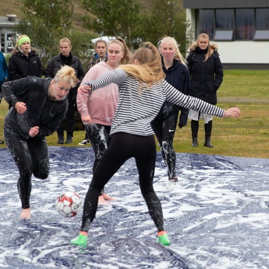 Nýnemadagurinn haust 19