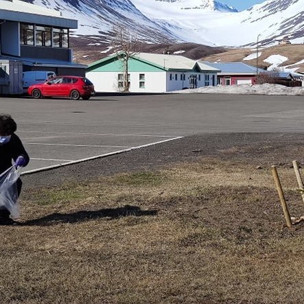 Plokkdagurinn mynd SMH