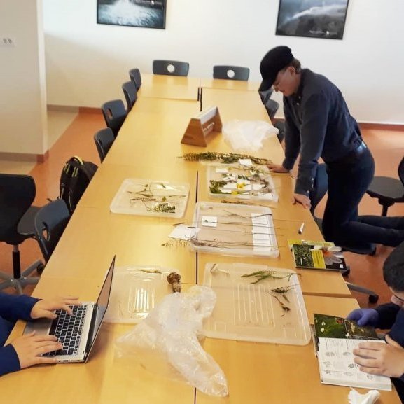 302451464_879792142984512_7345795371223836594_n