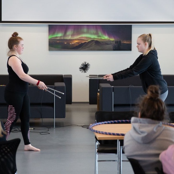 Sirkuslistir í miðannarviku vor 2019