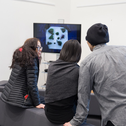 Skammdegishátíð mynd LS