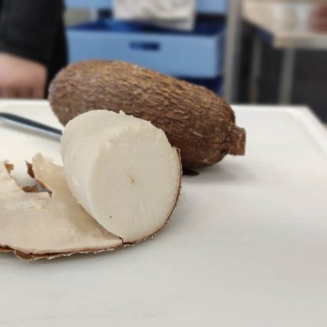 334915680_607191147459854_8412014311070477216_n