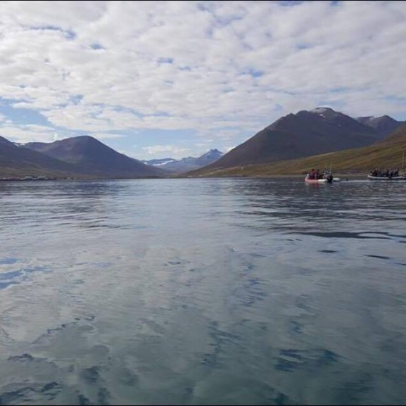 14215156_10153697050351260_89009309_o