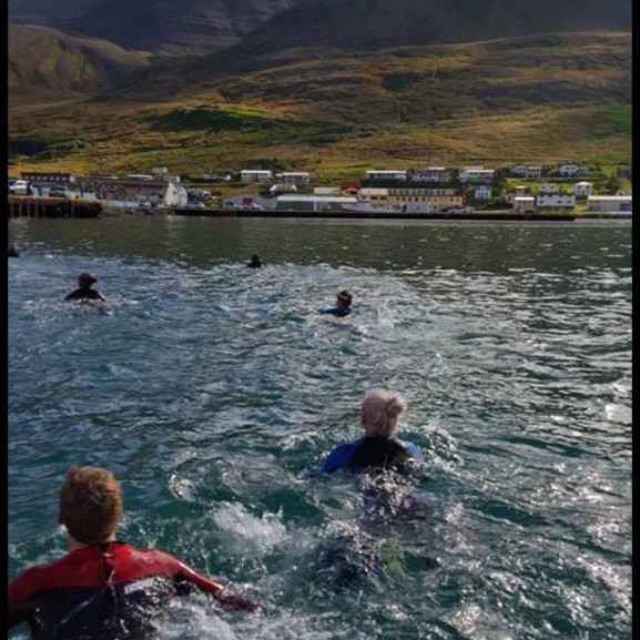 14215202_10153697041106260_679957194_o