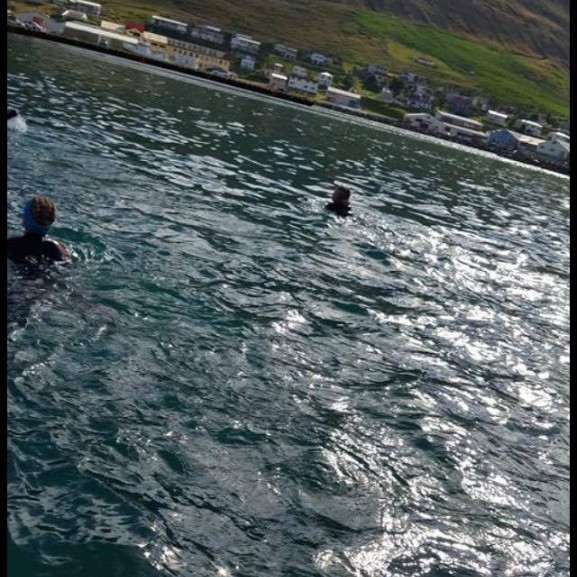 14215227_10153697041381260_154200518_o