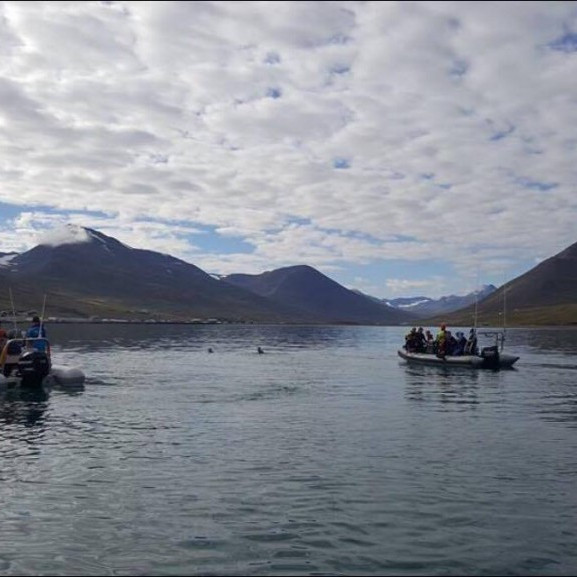 14215551_10153697050356260_135364537_o