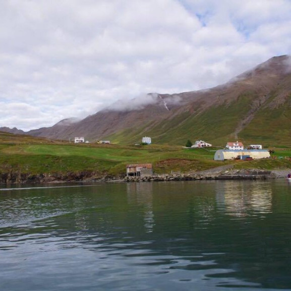 14215683_10153697040431260_1462602122_o