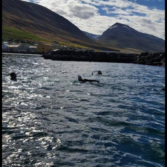 14215747_10153697041261260_841773047_o