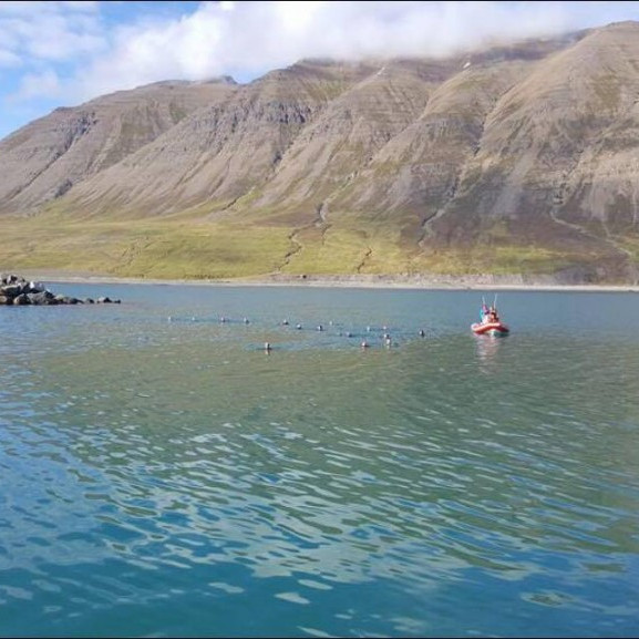 14233356_10153697050496260_1985851643_o