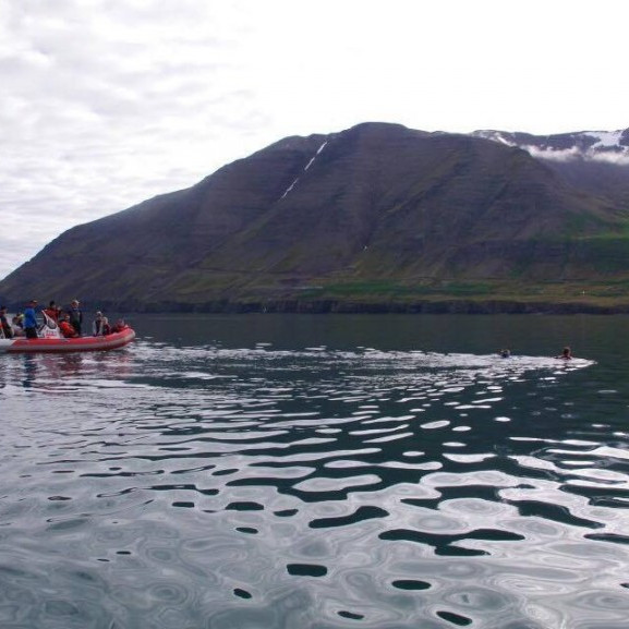 14233405_10153697040426260_674138605_o