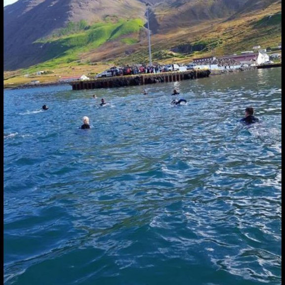 14233504_10153697041281260_1368743924_o