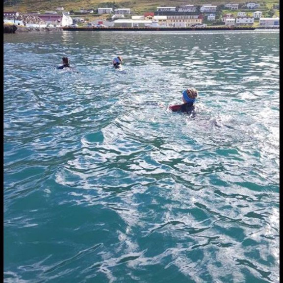 14233534_10153697041491260_164315168_o