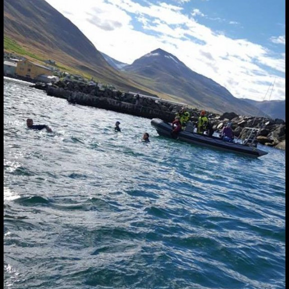 14233789_10153697041296260_808270277_o