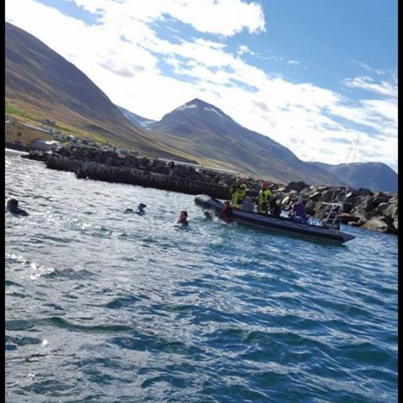 14247967_10153697041361260_1443880319_o