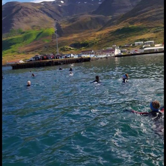 14248105_10153697041346260_1744239846_o