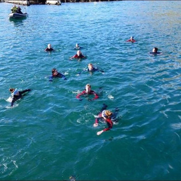 14274556_10153697050211260_593704529_o