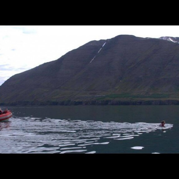 14284832_10153697040821260_1375288422_o