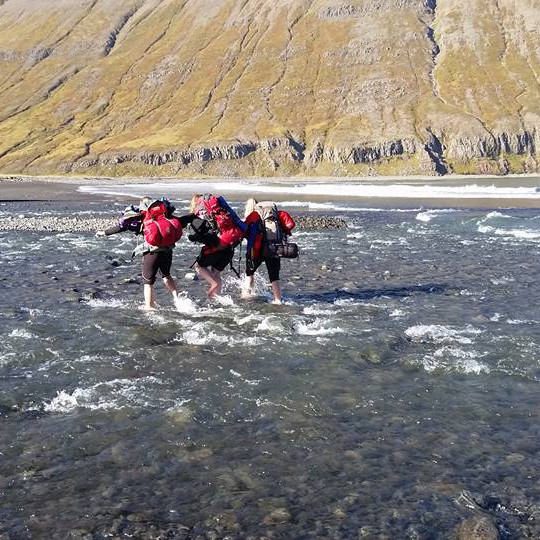 14359003_194226117667034_8899944467121844348_n