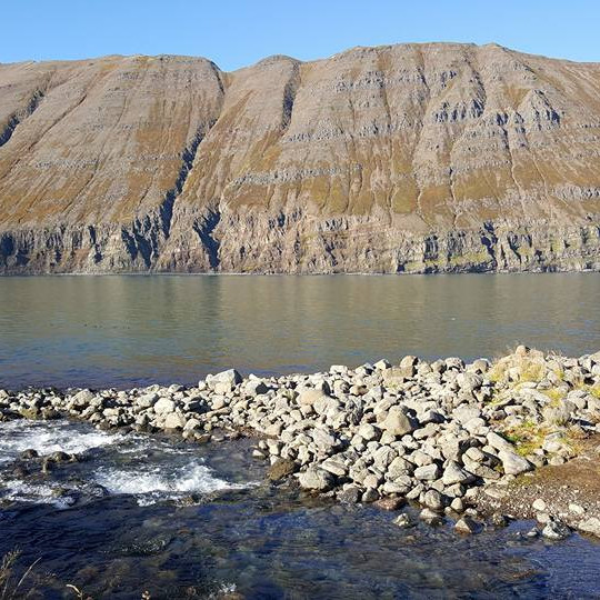 14368682_10209639519697804_4404017909439981624_n