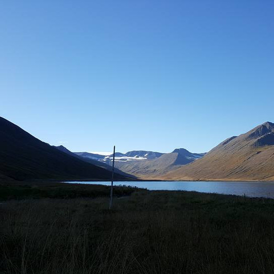 14391026_10209639495057188_3060578915546466487_n