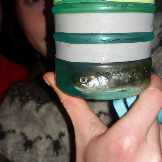 14440810_194225721000407_7781046393461992741_n