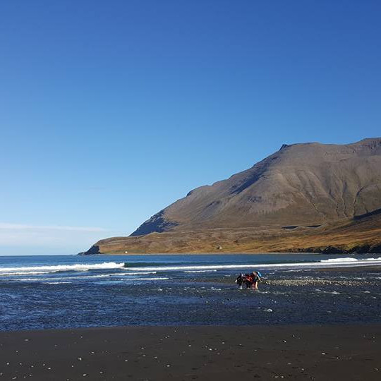 14463296_10209639526457973_1314907241577083343_n