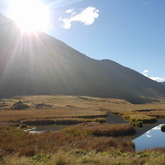 14469545_10209639519097789_6888548227032750170_n