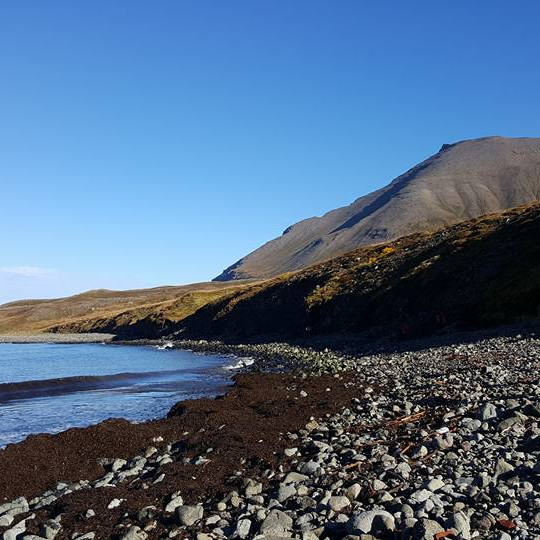 14470624_10209639523617902_7319301966319485094_n