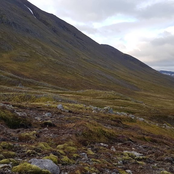 Útilega Héðinsfjörður