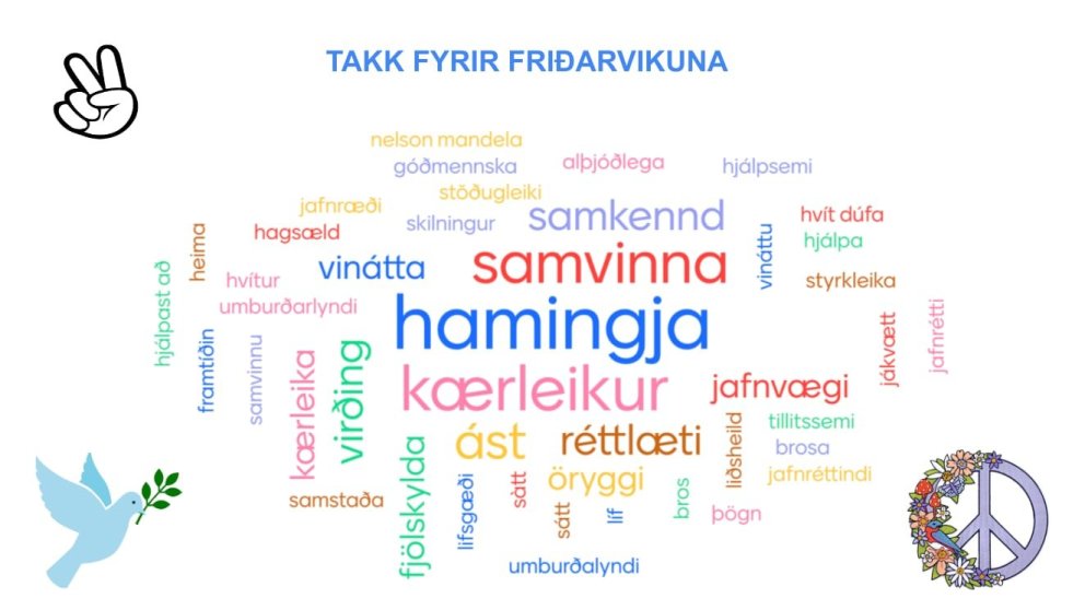 Fræðsla um frið og mannréttindi