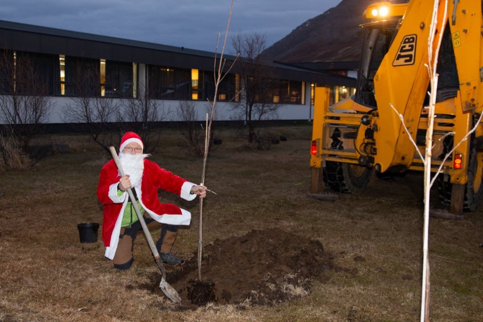 Gróðursetning mynd GK