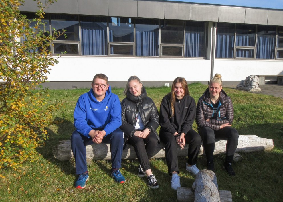 Umhverfisnefnd mynd HF