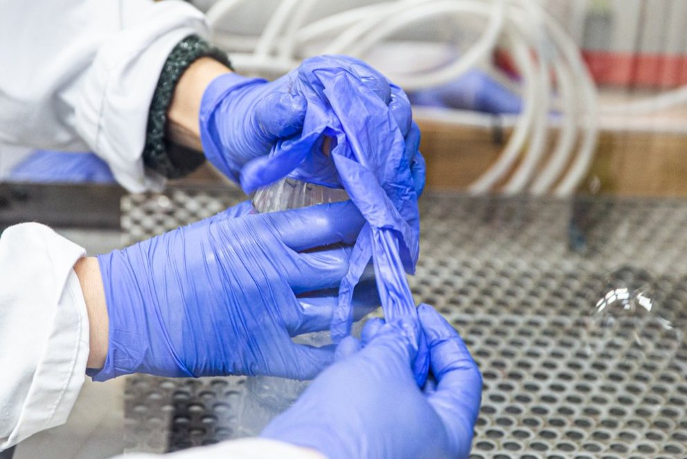 Val fyrir vorönn 2023