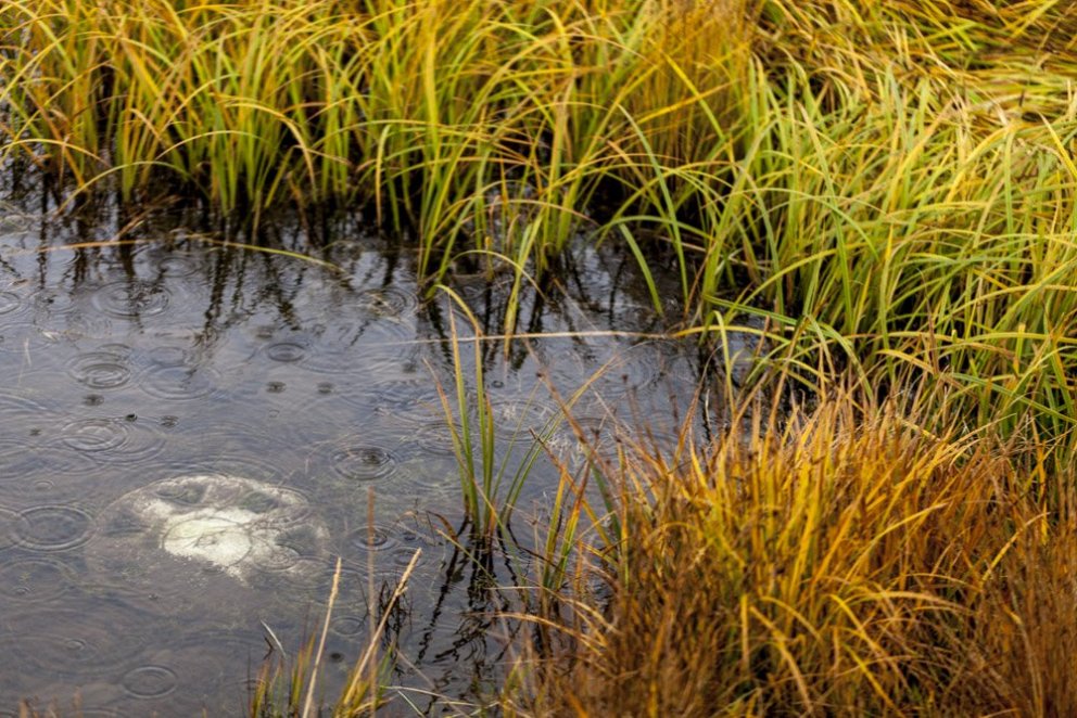 Haust. Mynd: Lára Stefánsdóttir.