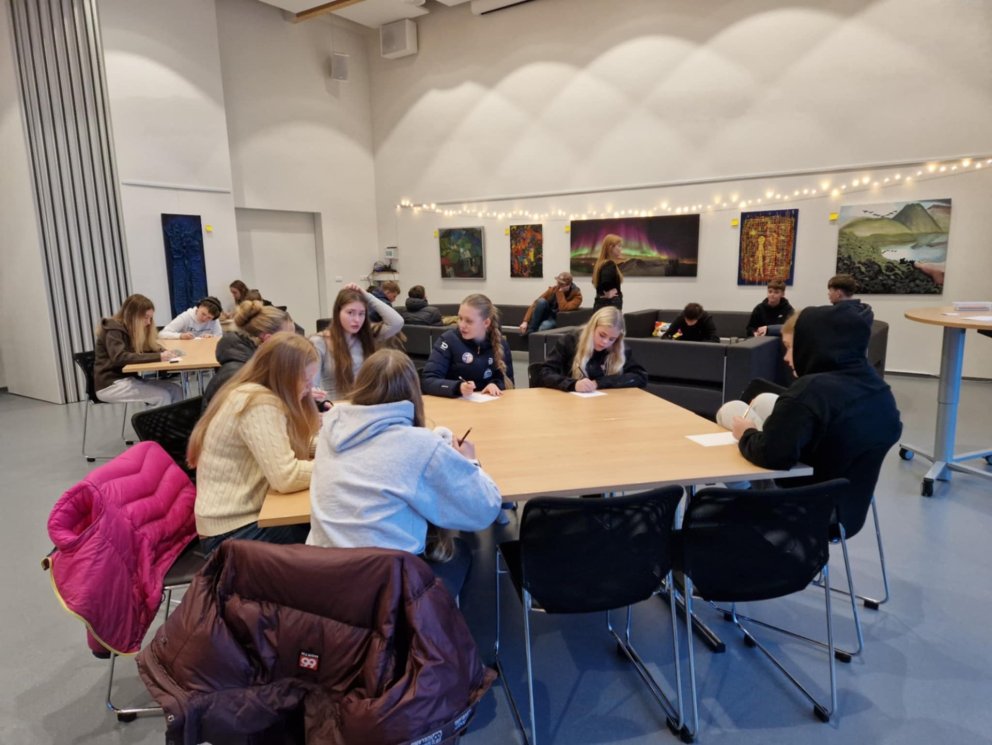 Ung ljóðskáld mynd ÞH