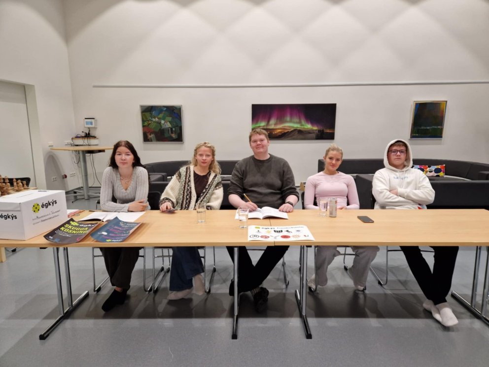 Skuggakosningar mynd ÞH