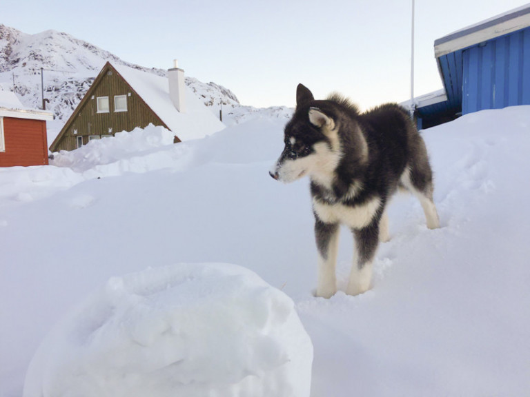 mynd Lára Stefánsdóttir