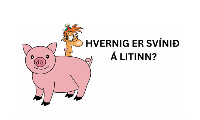 Skjáskot úr myndbandi eftir Gretti Valsson þar sem Gabbi kennir börnunum litina.